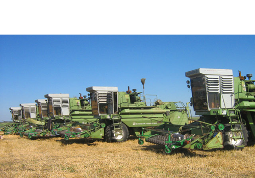 Растениеводство