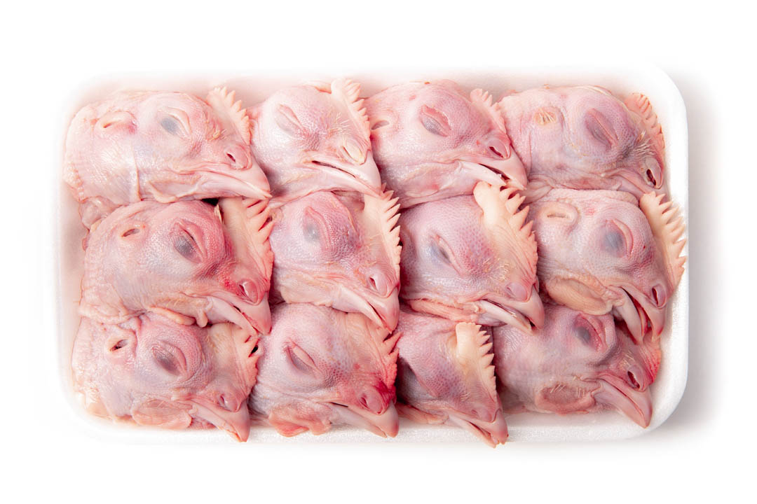 Головы птичьи