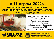 Агрохолдинг "Равис" возобновляет сезонные продажи цыплят-бройлеров! 